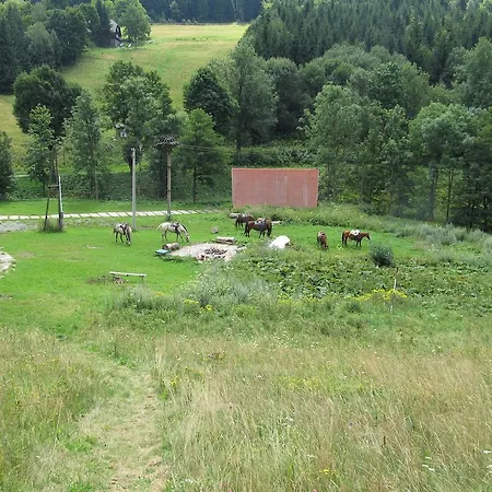 Horská Bouda čihalka 2* Olesnice v Orlickych horach